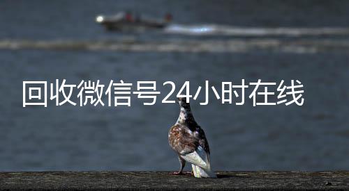 回收微信号24小24小时收微信靠谱回收时在线秒结（回收微信号网站）